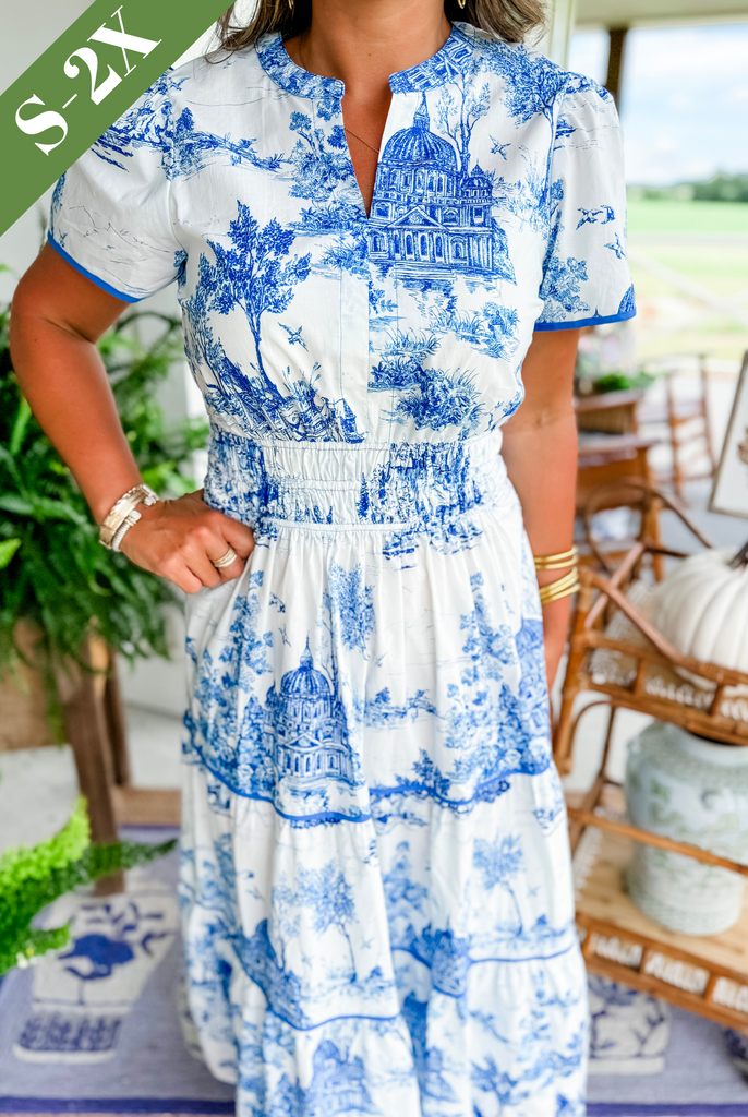 Alexia™ | Toile Maxi Dress